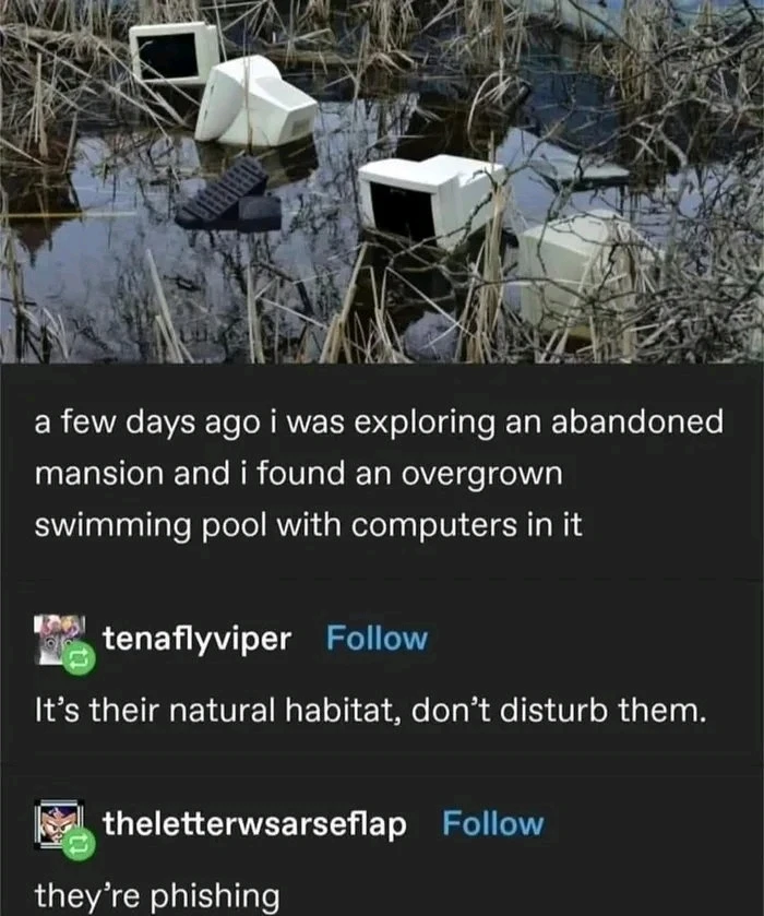 Obrázek nahrál Mirek