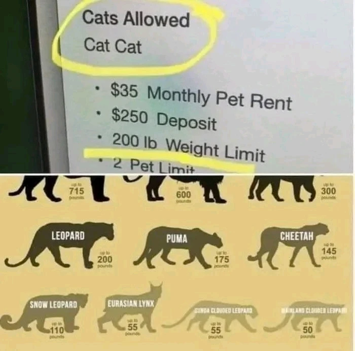 Obrázek nahrál Mirek