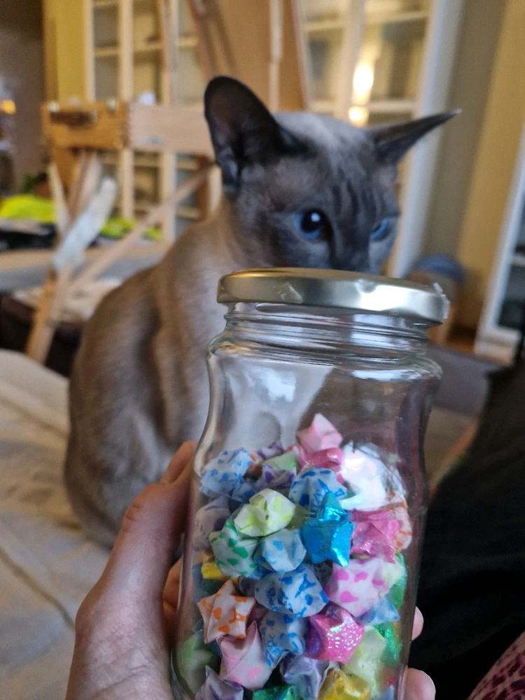 Gambar diunggah dening Rita