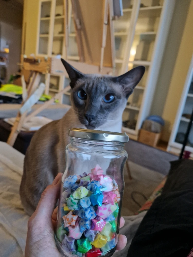 Gambar diunggah dening Rita