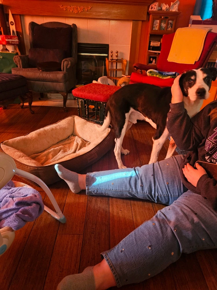 Image uploaded by Frank Toth