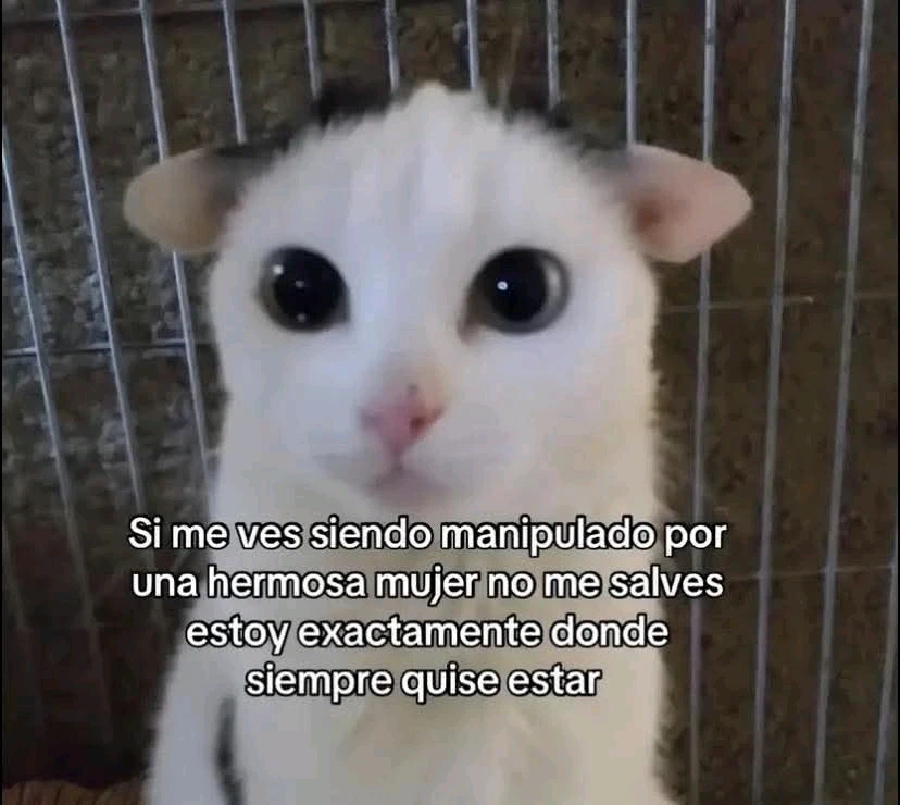 GIF subido por Carlos