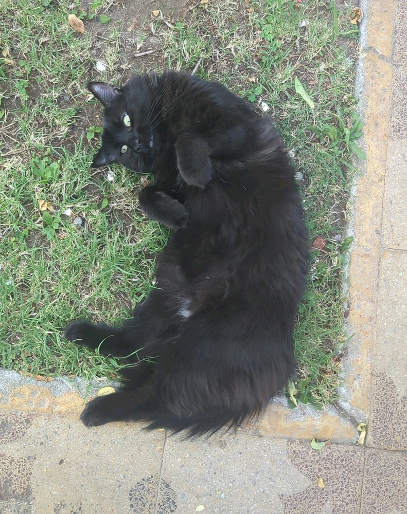 Imagen subida por Fabricio