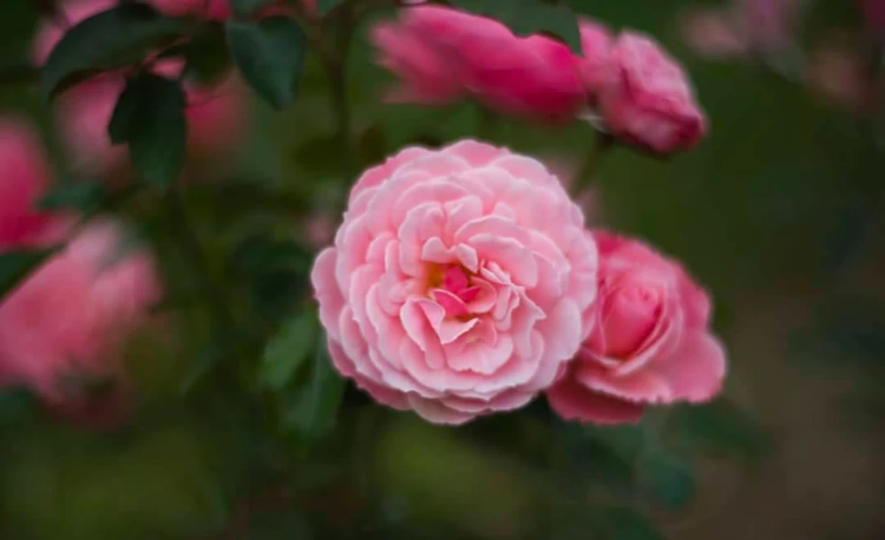 GIF uploaded by Ty