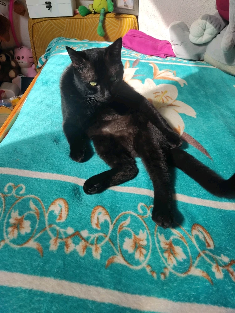 GIF enviado por Carks