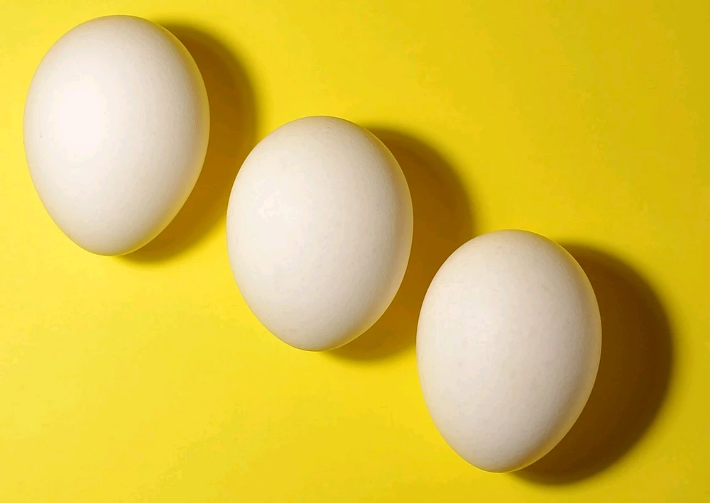 Гіфку завантажив Nilk