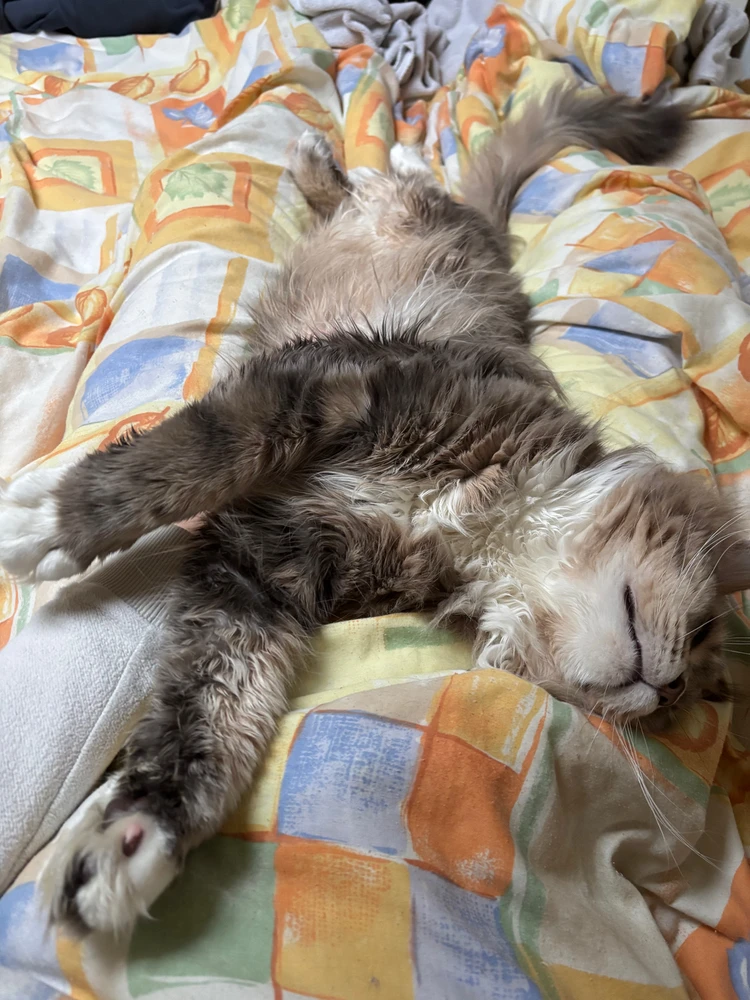 Afbeelding geüpload door Nigel