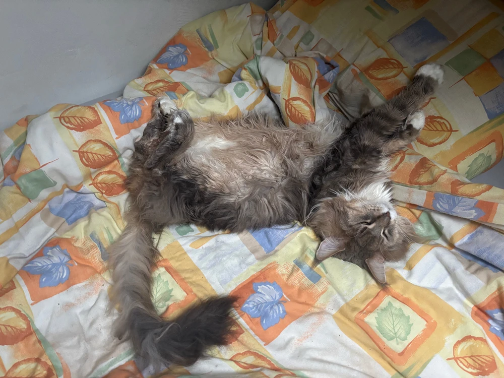 Afbeelding geüpload door Nigel