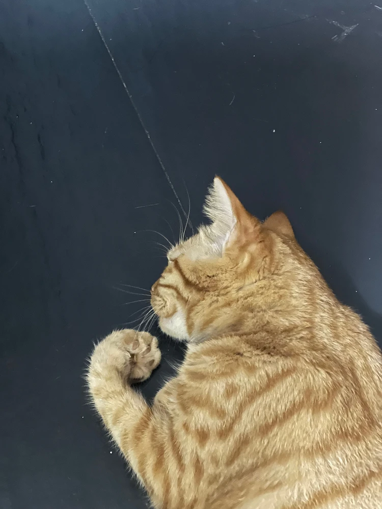 Image uploaded by AJ