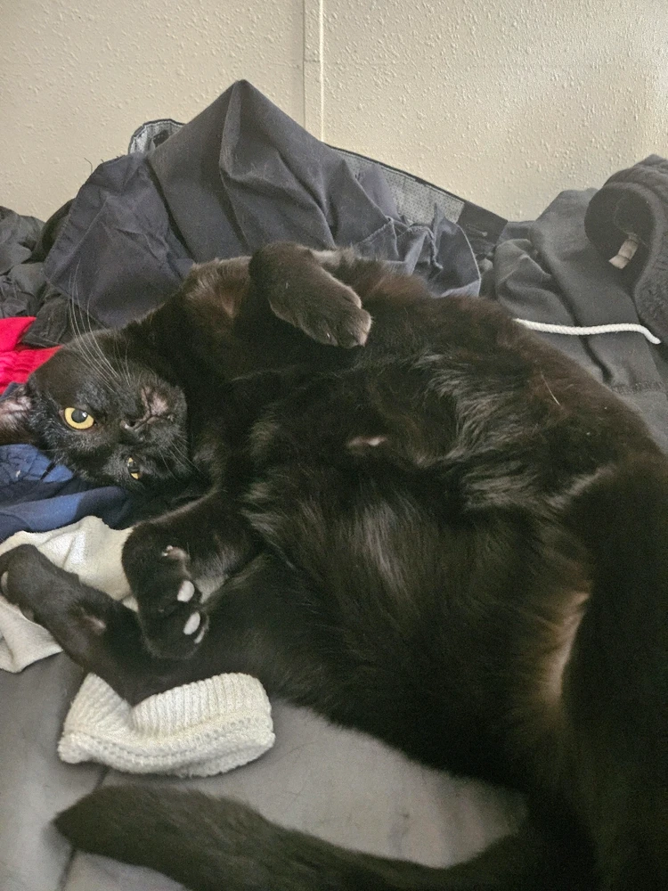 GIF uploaded by Cas