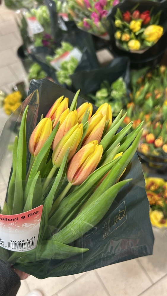 Imagine încărcată de Adelina