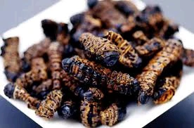 Vinkubala (mopane worms)