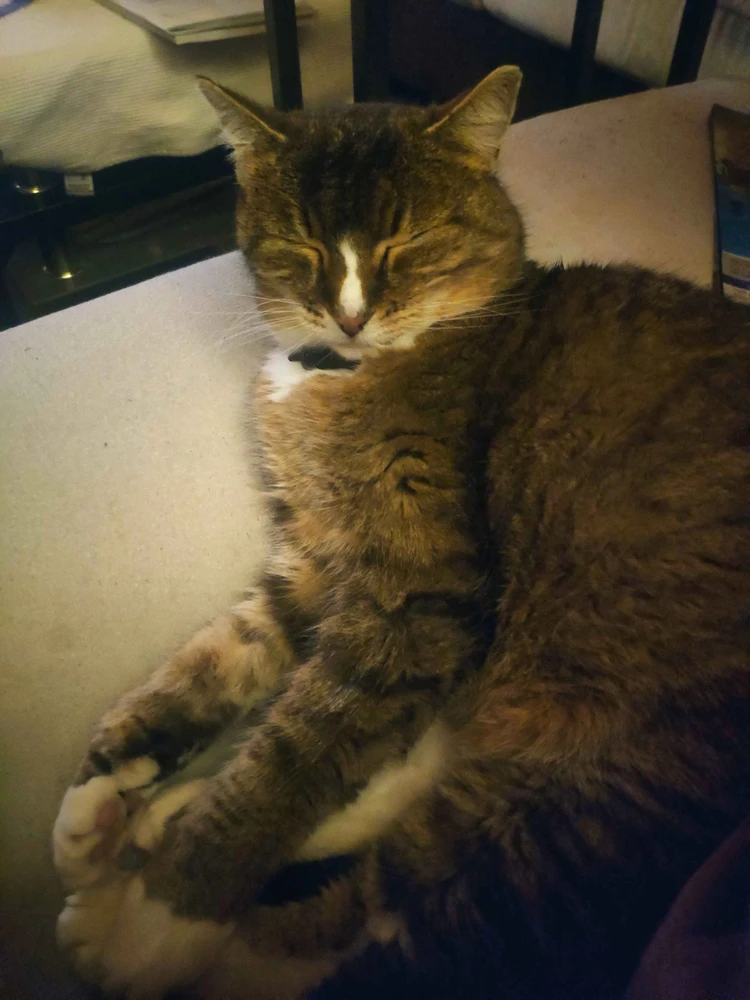 Bild hochgeladen von Voluk / Dominik