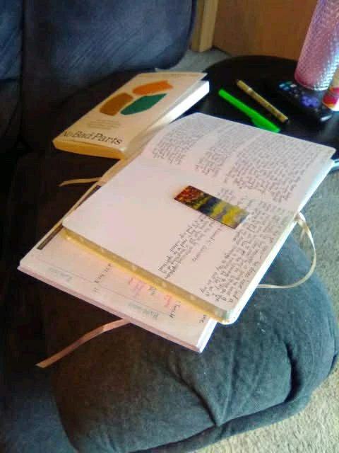 Image uploaded by Serina