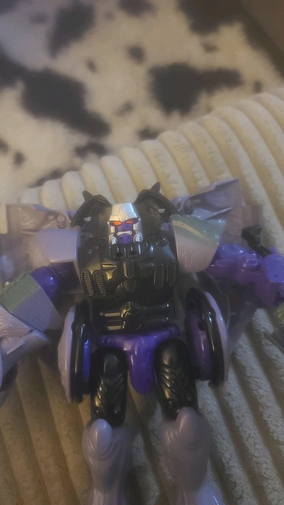 Image uploaded by Ame