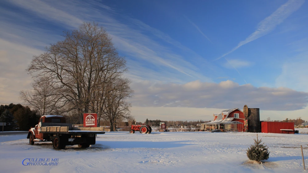 Image uploaded by RFT