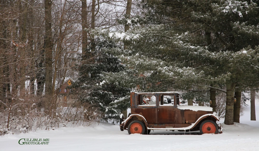 Image uploaded by RFT