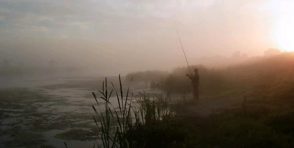 Гіфку завантажив Nilk