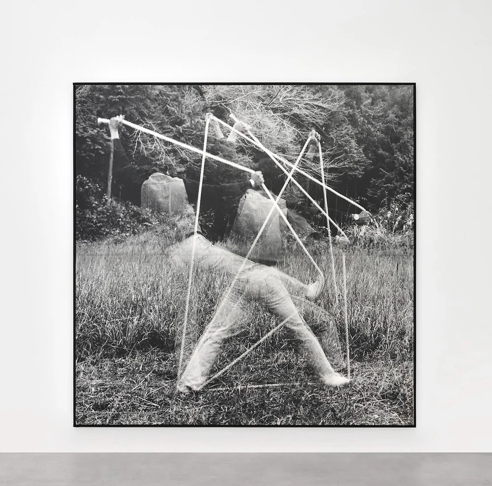 Obrázek nahrál Irónia