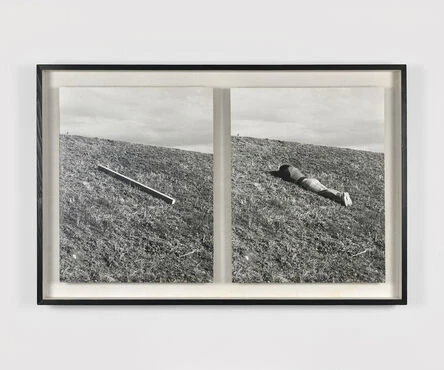 Obrázek nahrál Irónia