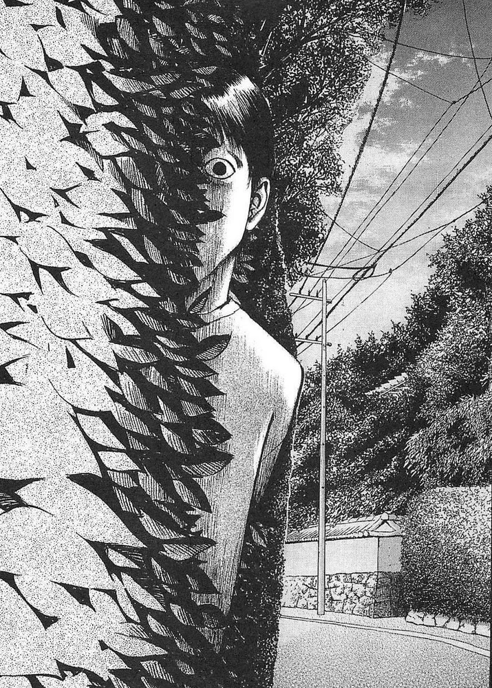 Obrázek nahrál Irónia