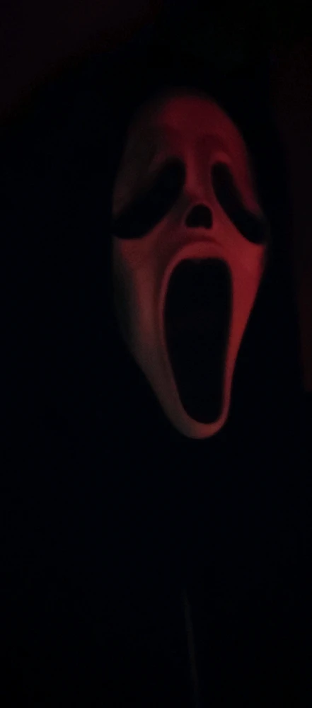 Image uploaded by Jake