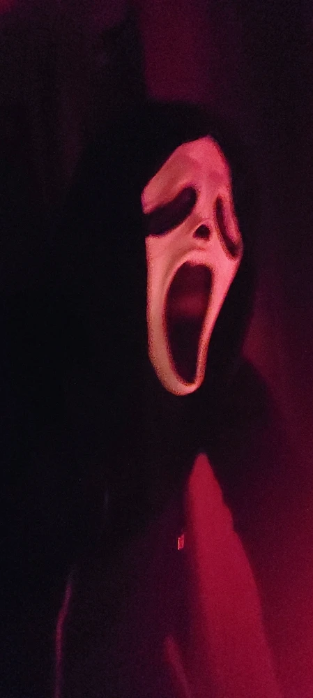 Image uploaded by Jake