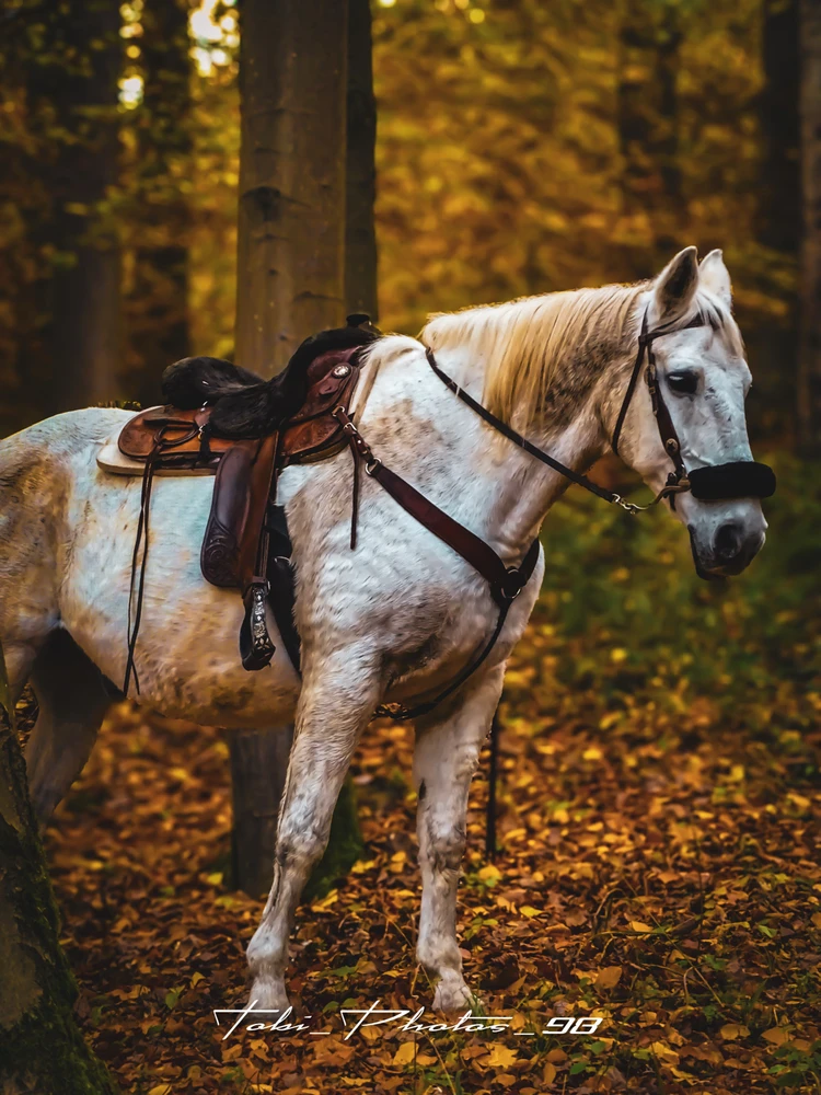 Bild hochgeladen von Tobi