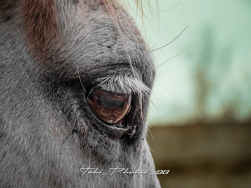 Bild hochgeladen von Tobi