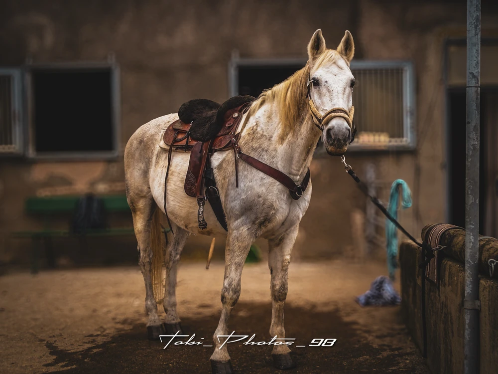 Bild hochgeladen von Tobi