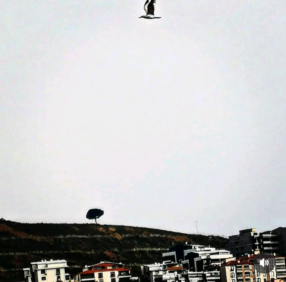 MATEO tarafından yüklenen GIF