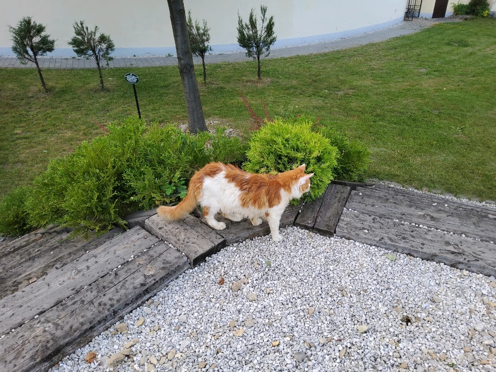 GIF uploaded by Umberto