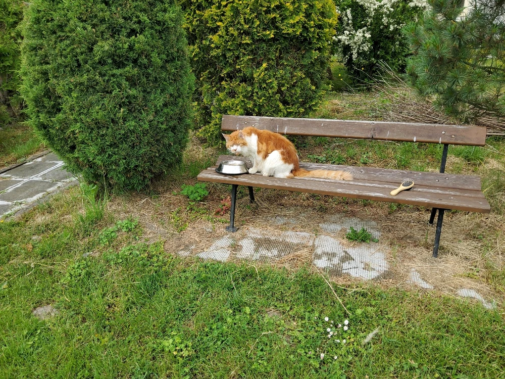 GIF uploaded by Umberto