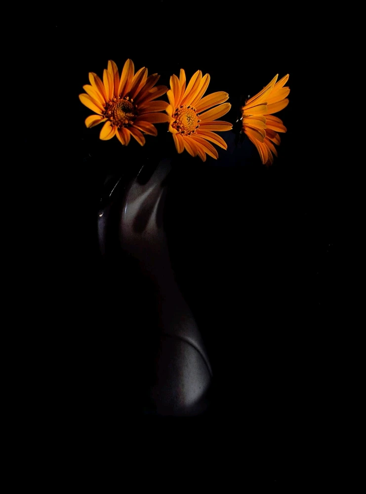 Гіфку завантажив Александр