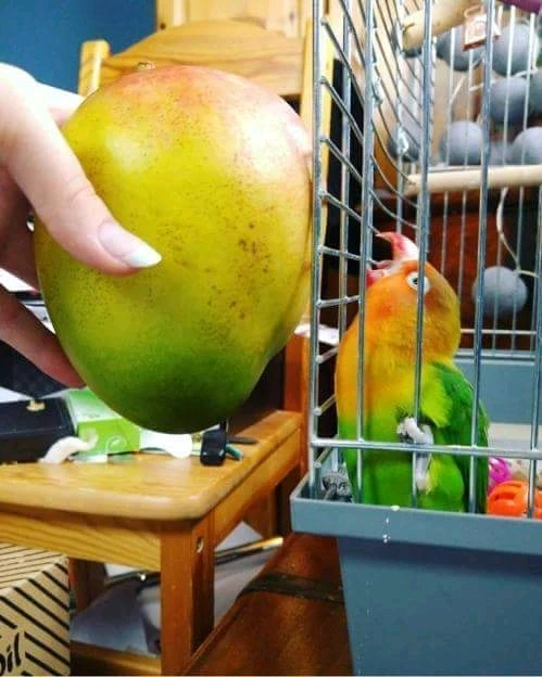 GIF subido por Miguel Ángel