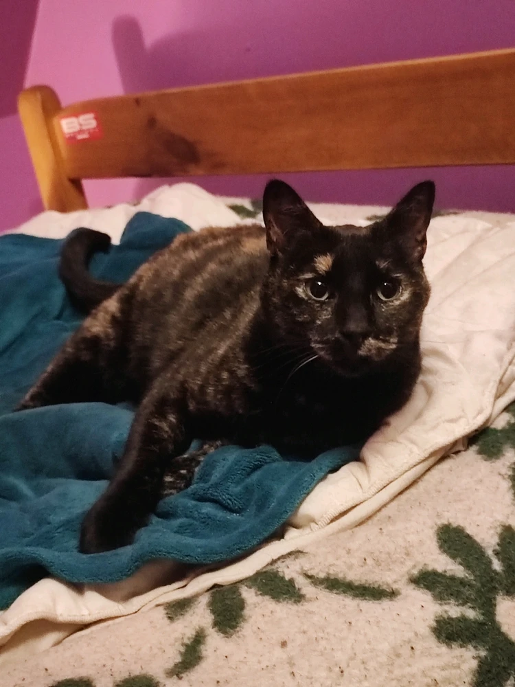 GIF subido por Víctor