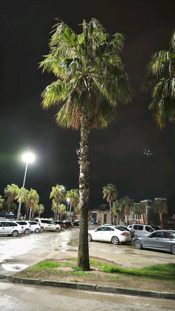 𝐀𝐒𝐌𝐎𝐃𝐄𝐔𝐒 tarafından yüklenen GIF