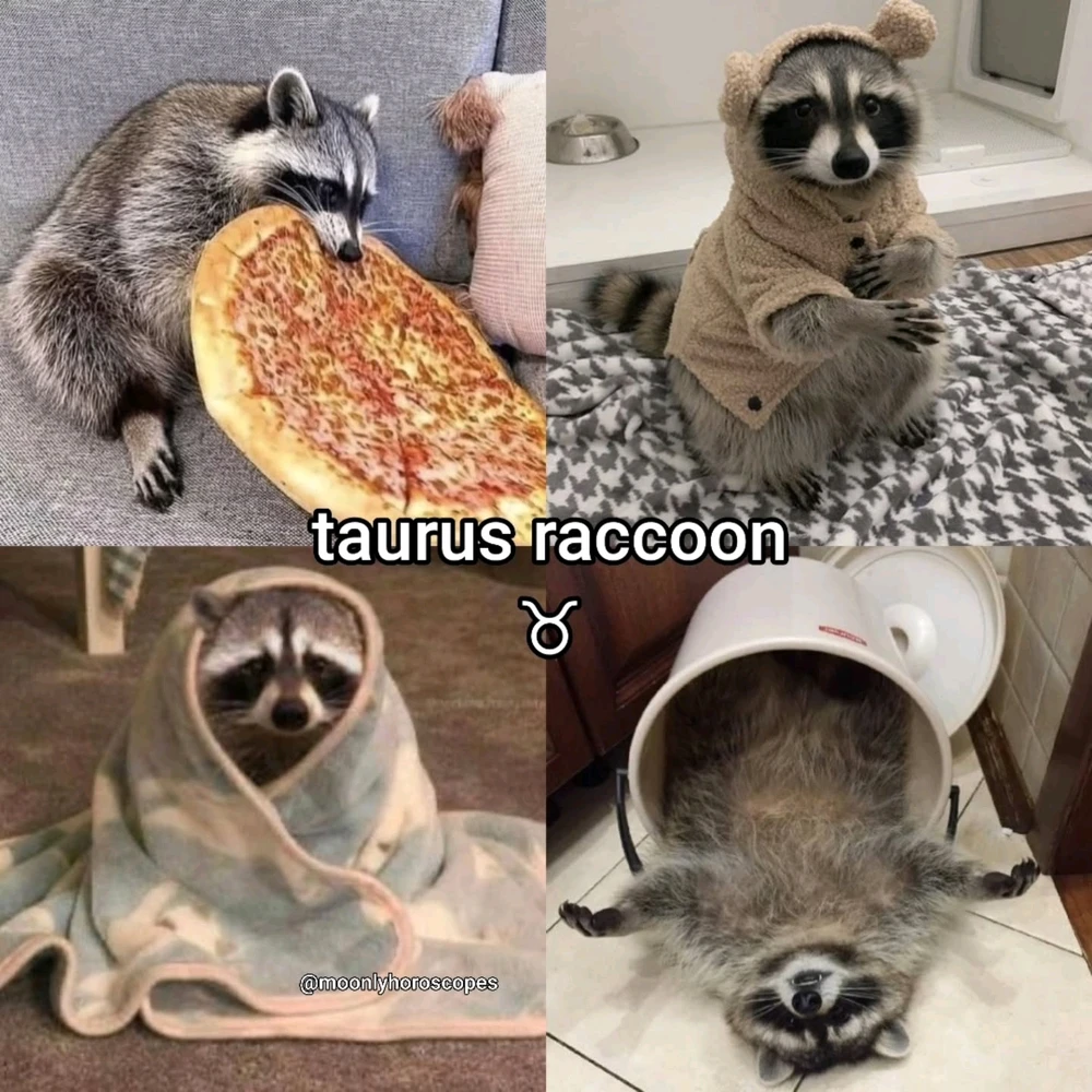 Image uploaded by SuSu