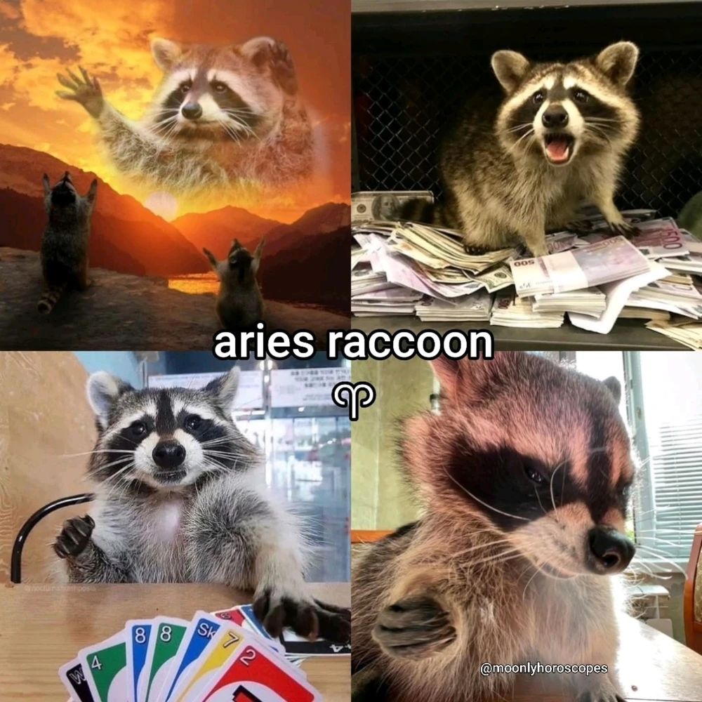 Image uploaded by SuSu