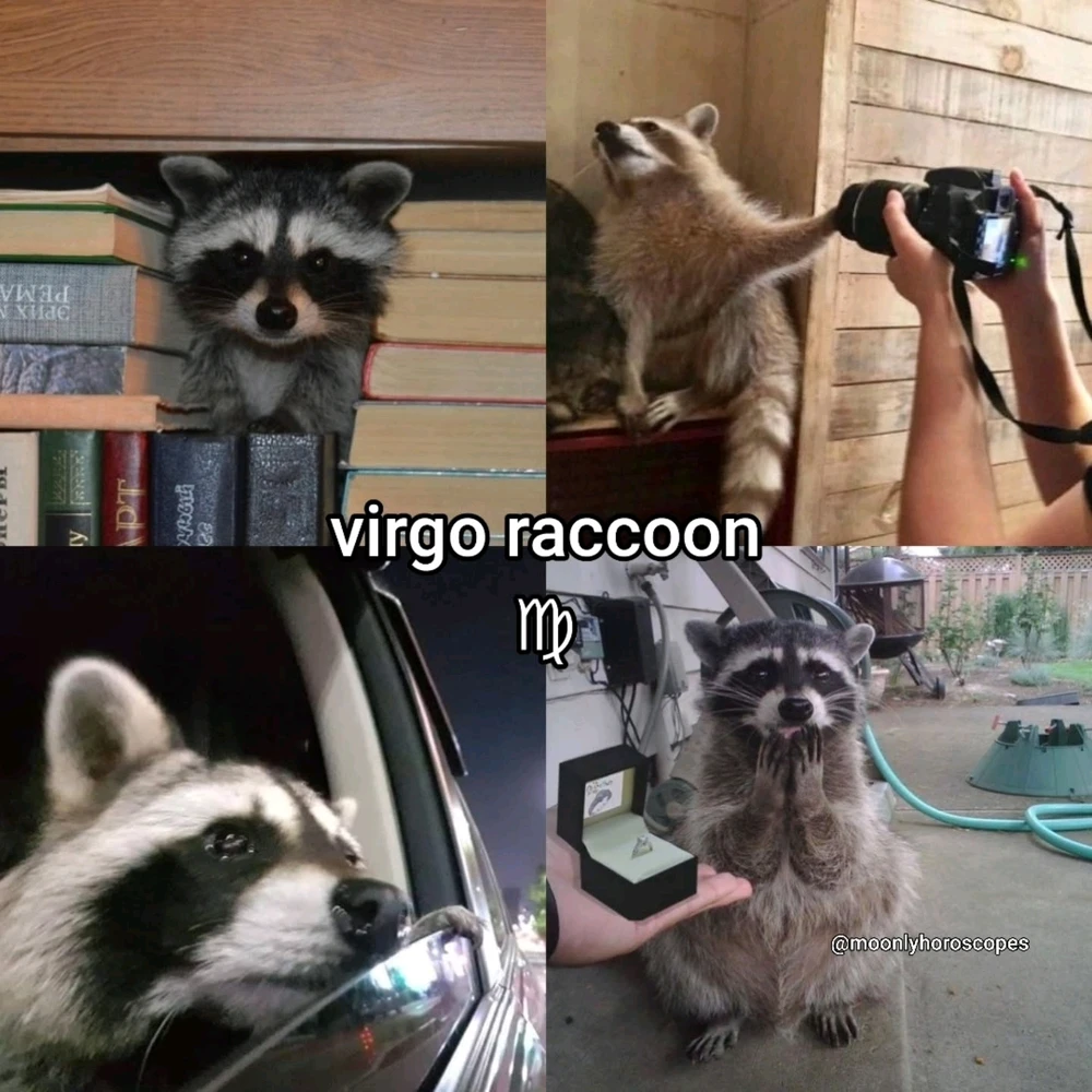 Image uploaded by SuSu