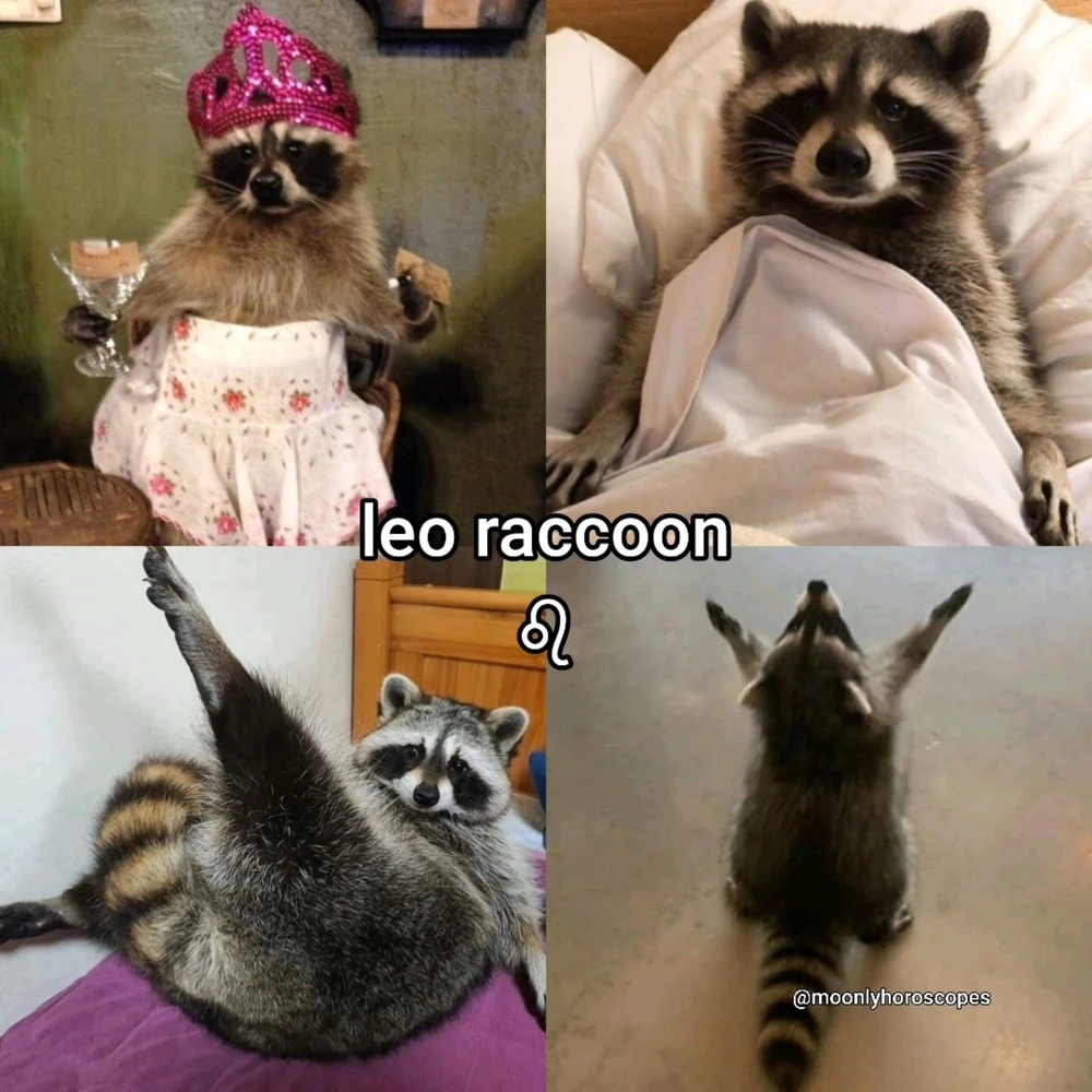 Image uploaded by SuSu