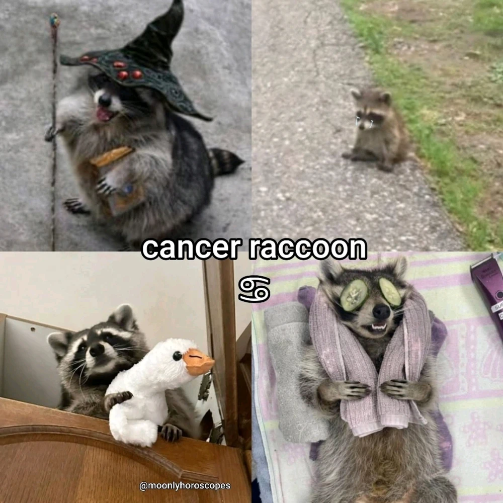 Image uploaded by SuSu