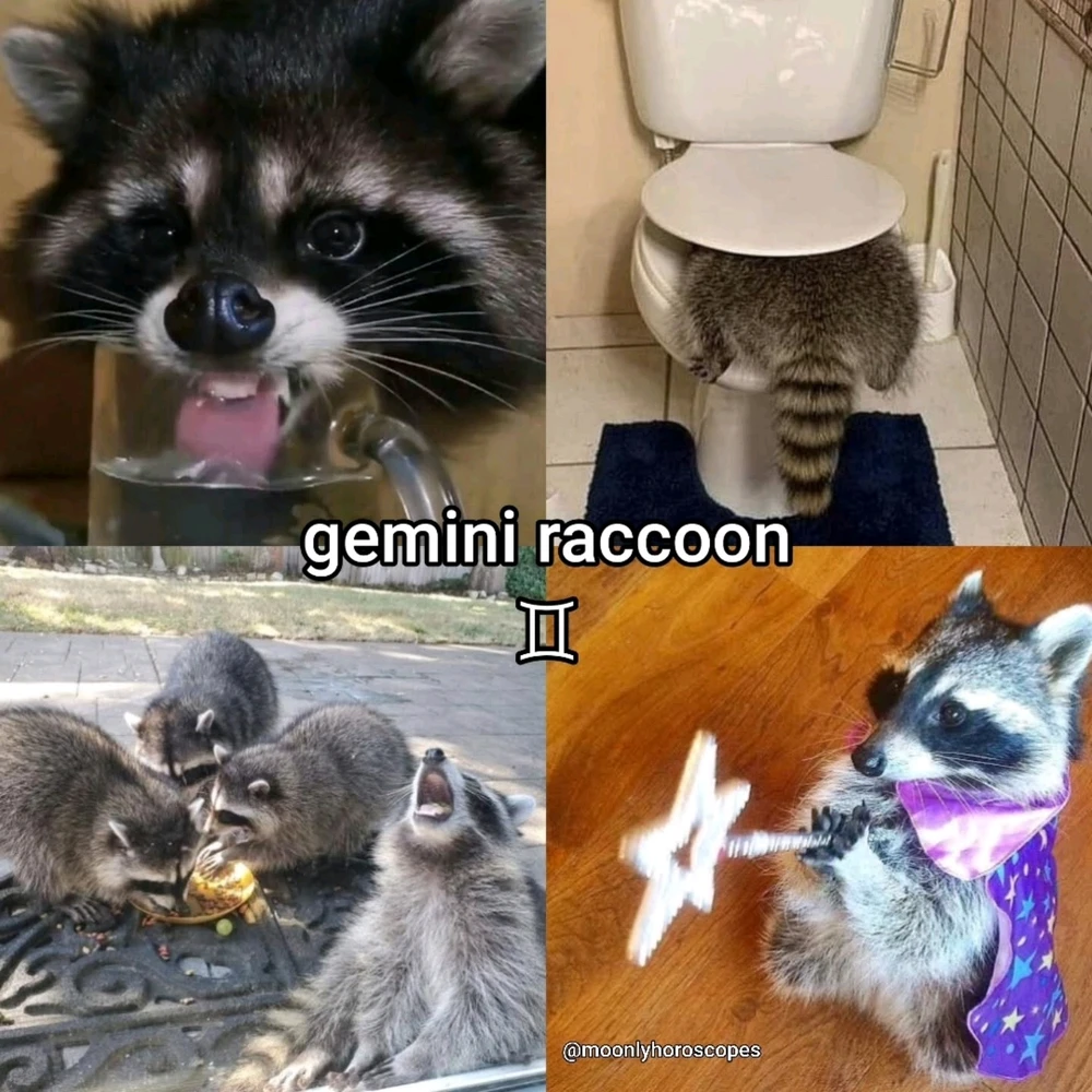 Image uploaded by SuSu