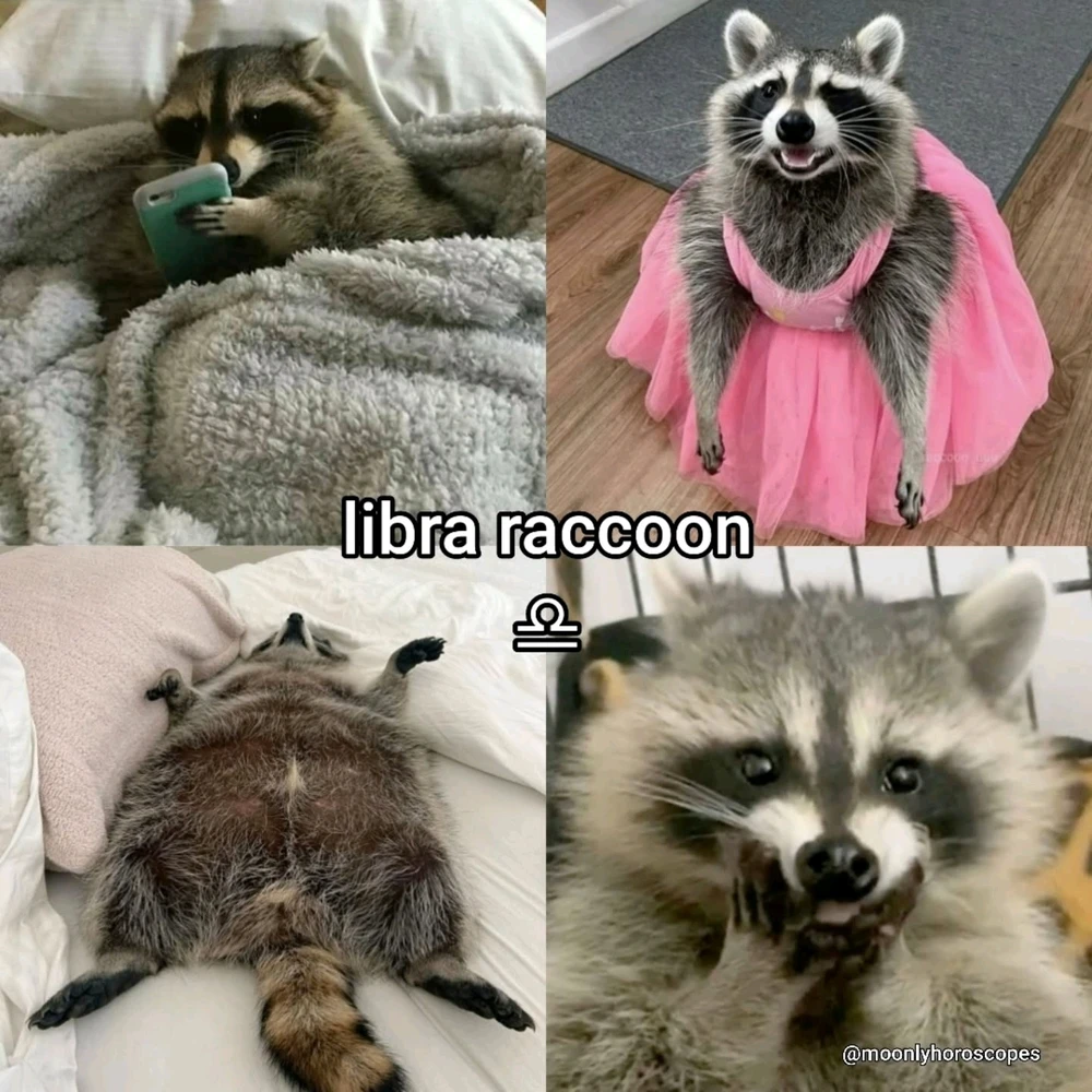 Image uploaded by SuSu