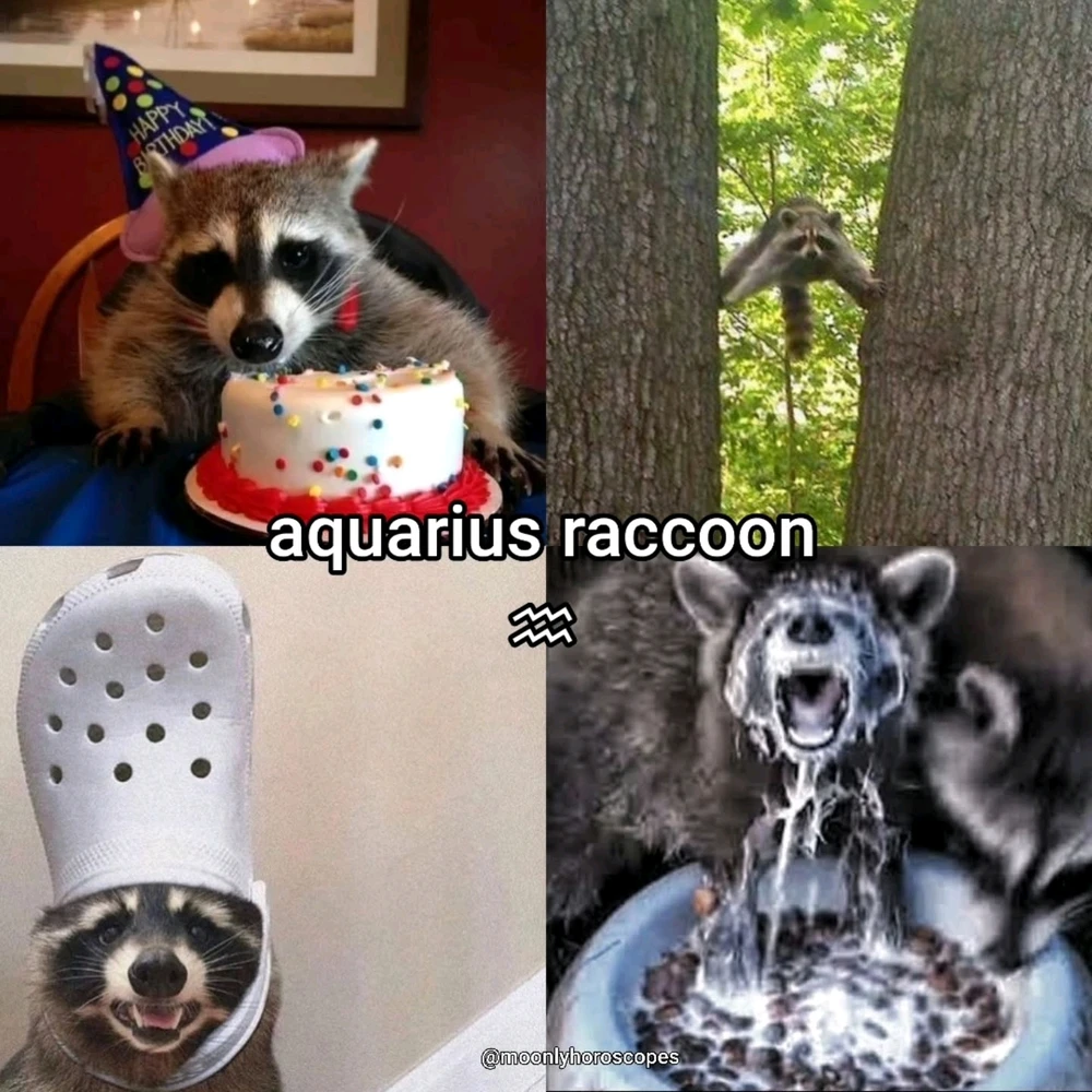 Image uploaded by SuSu