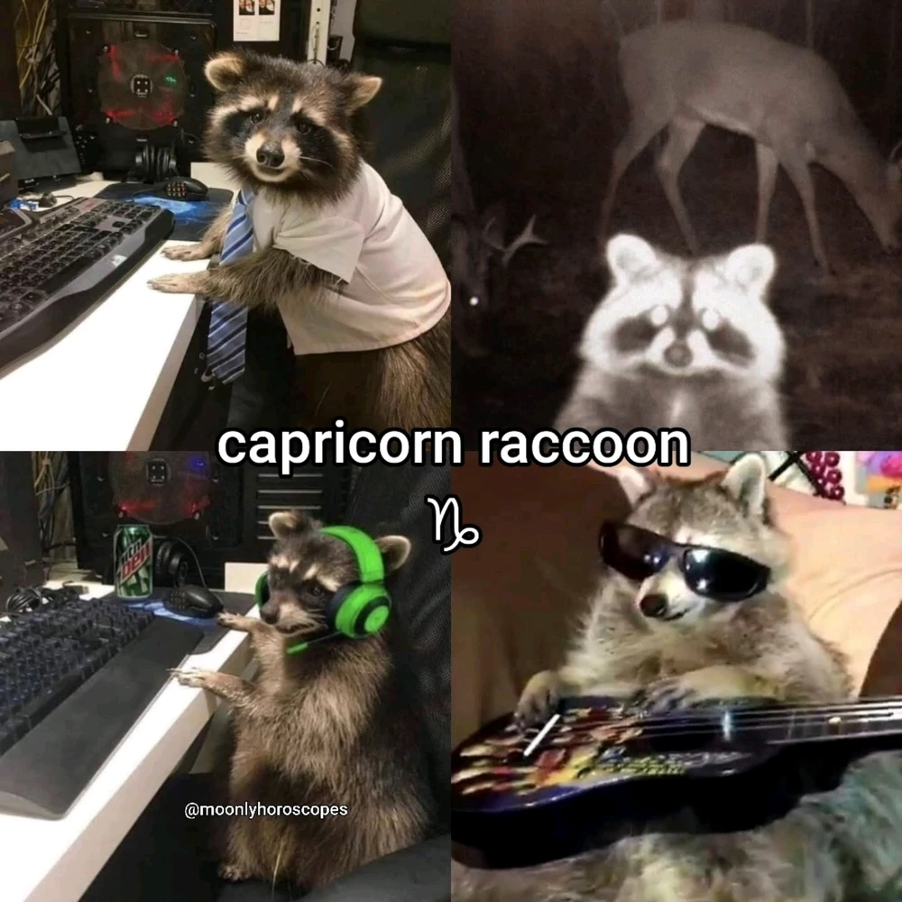 Image uploaded by SuSu