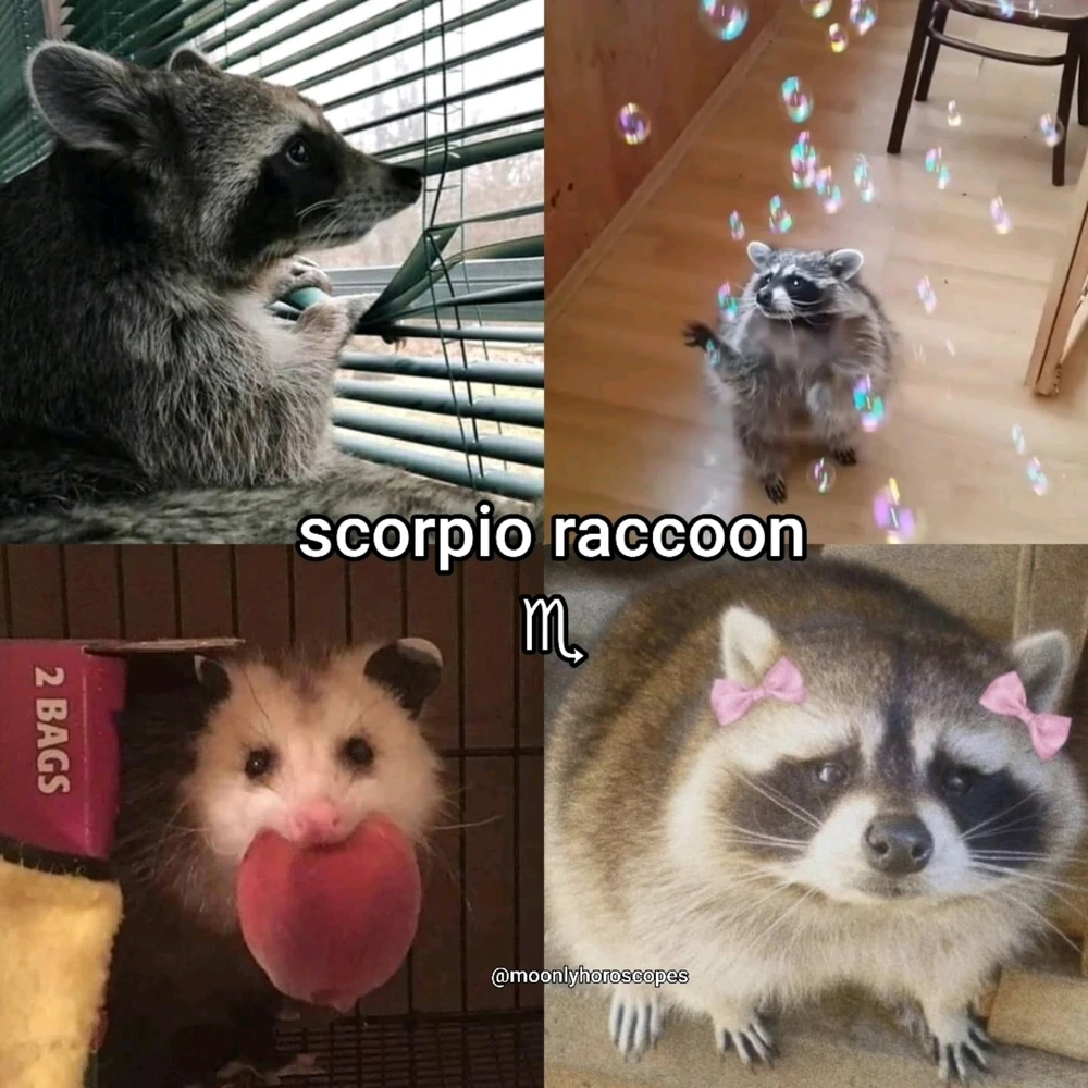 Image uploaded by SuSu