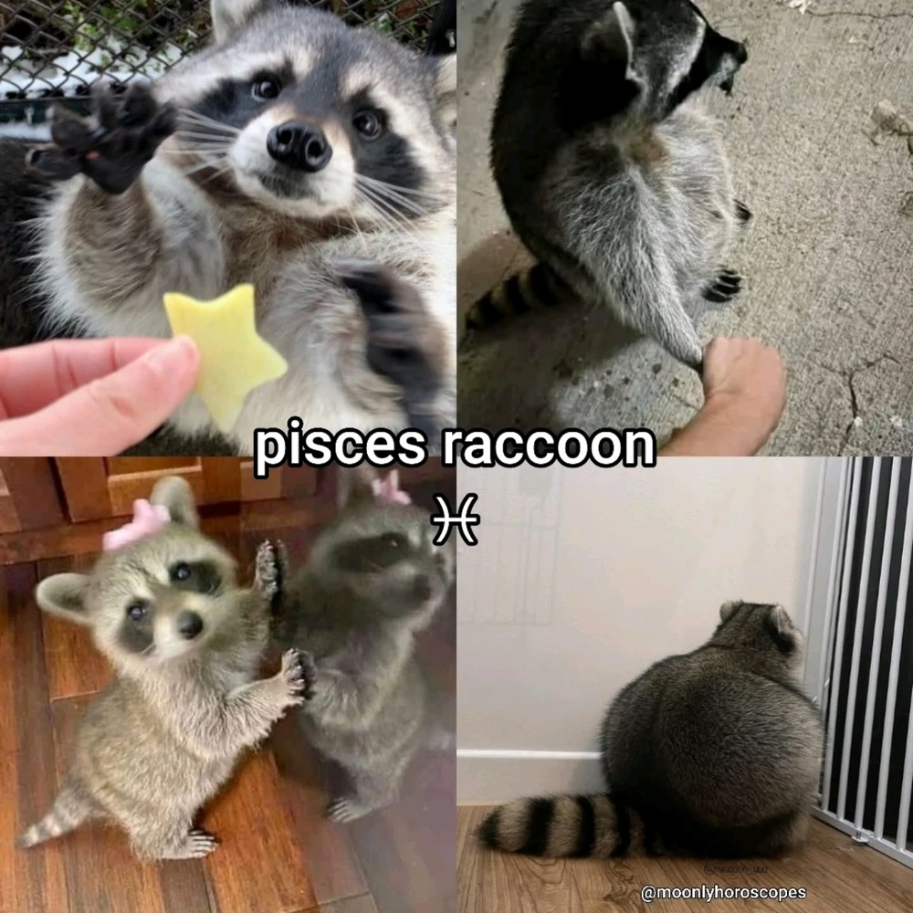 Image uploaded by SuSu