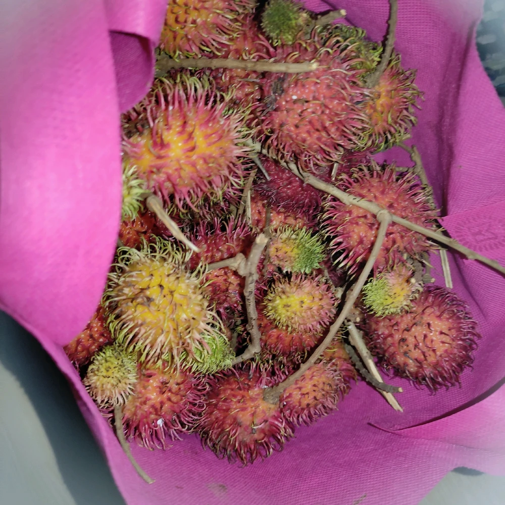 GIF diunggah oleh 𝚅𝙴𝙻𝙾𝚄𝚁𝙸𝚇