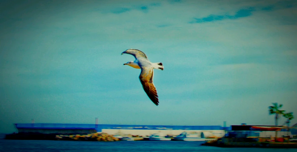 Imagem enviada por Johnny Mafra